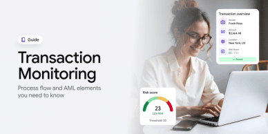 Transaction monitoring system guide