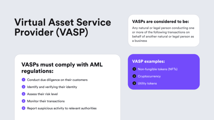 Examples of virtual asset providers (VASPs) and their characteristics.