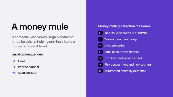 Infographic summarising the main points on money mules.