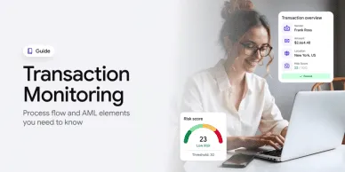 Transaction monitoring system guide