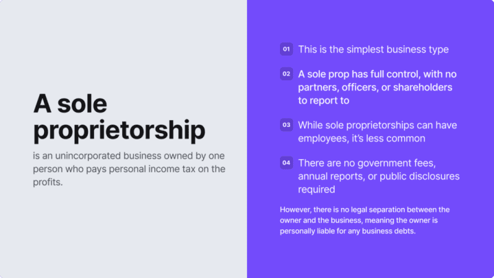 Infographic summarising what a sole proprietorship is.