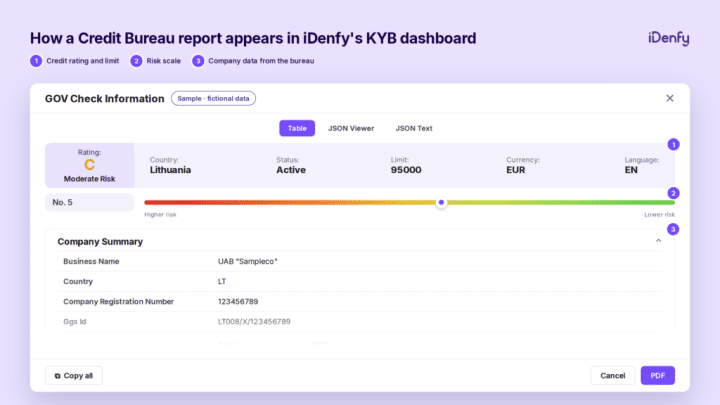 An example of elements that go into iDenfy's Credit Bureau report during KYB verification