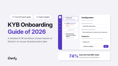 iDenfy's KYB Onboarding Report in a free, accessible guide-like form
